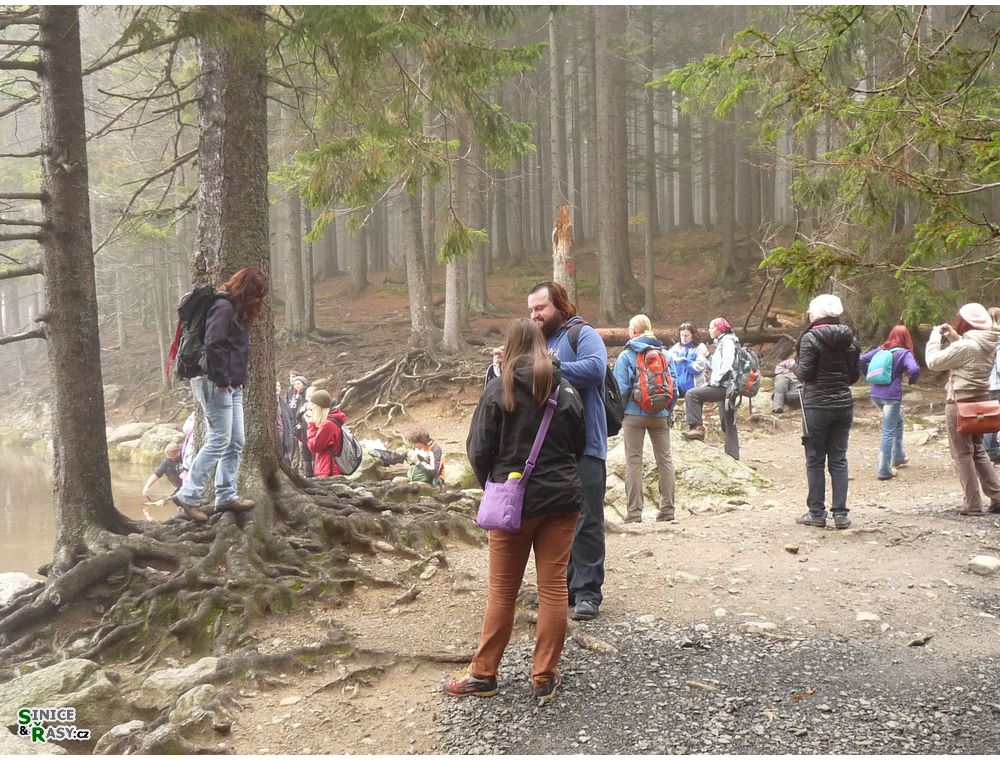 Chantransia 2012