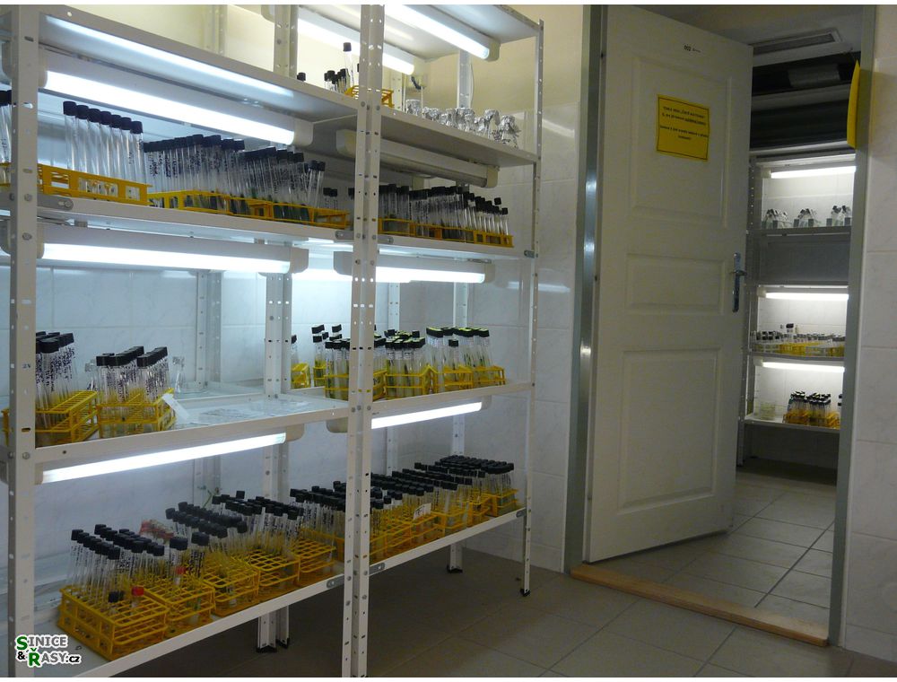 labphoto_002