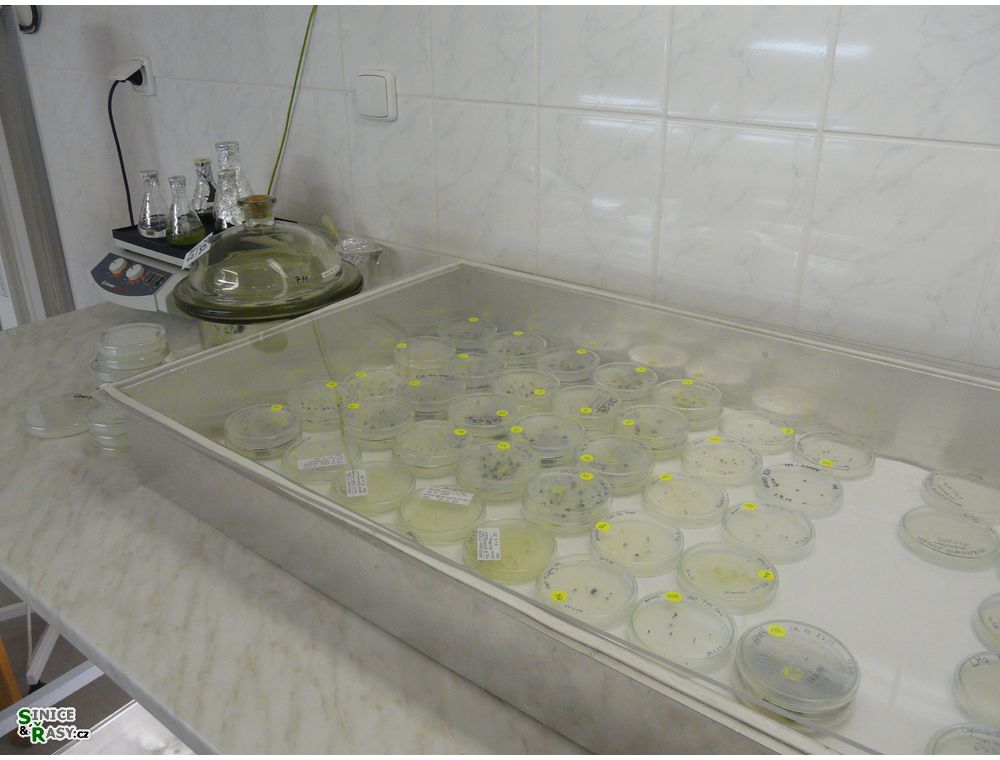 labphoto_003