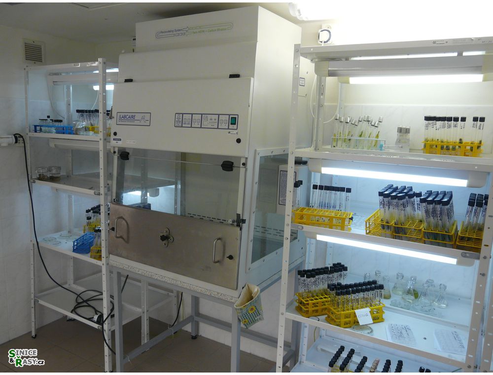 labphoto_004