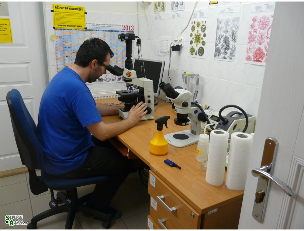 labphoto_005