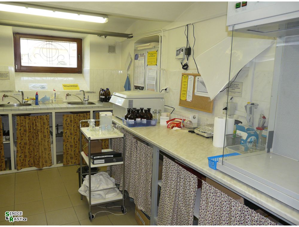 labphoto_006