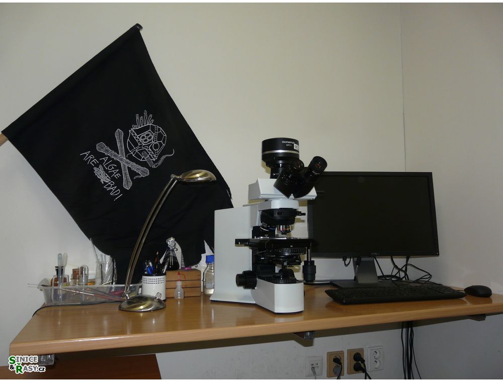 labphoto_010