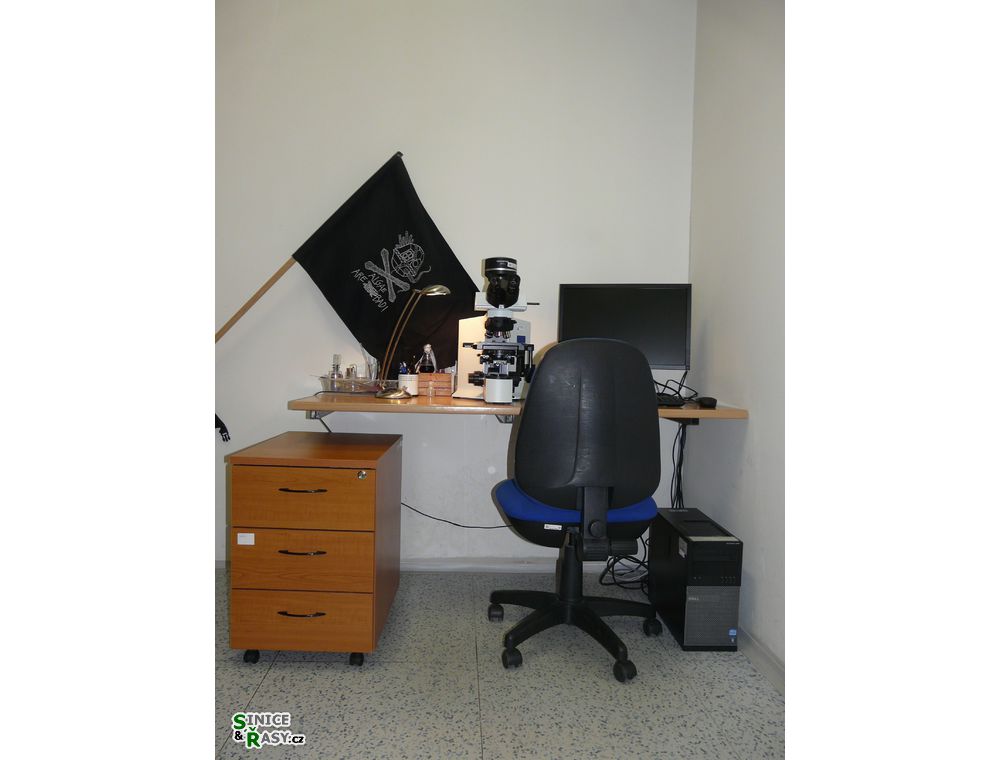 labphoto_011