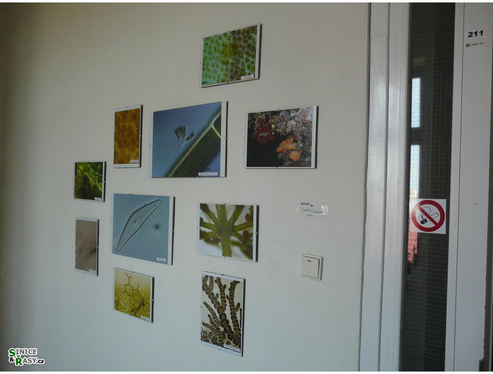 labphoto_013