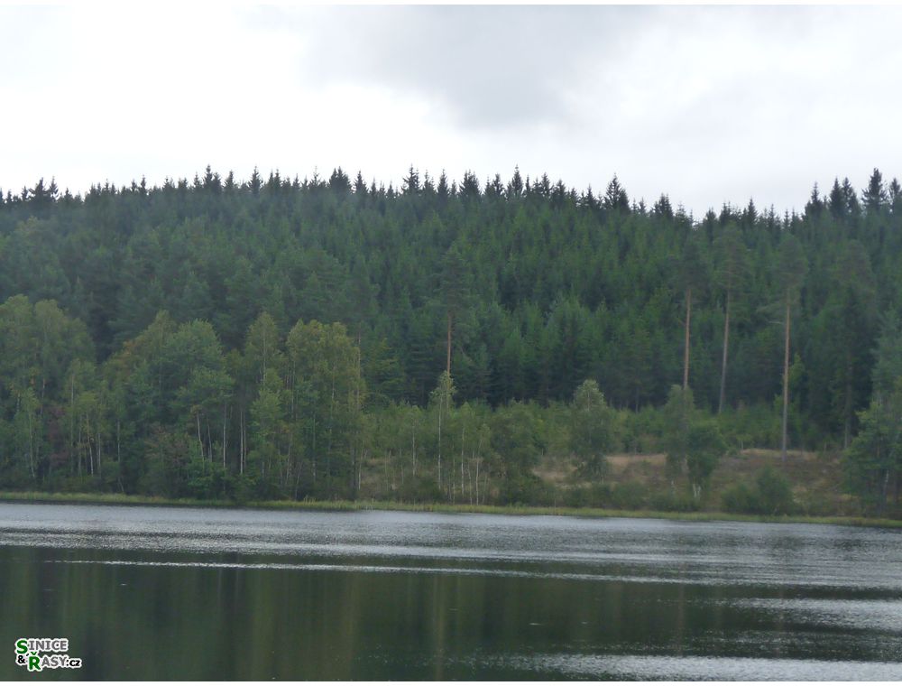 specka2013_039