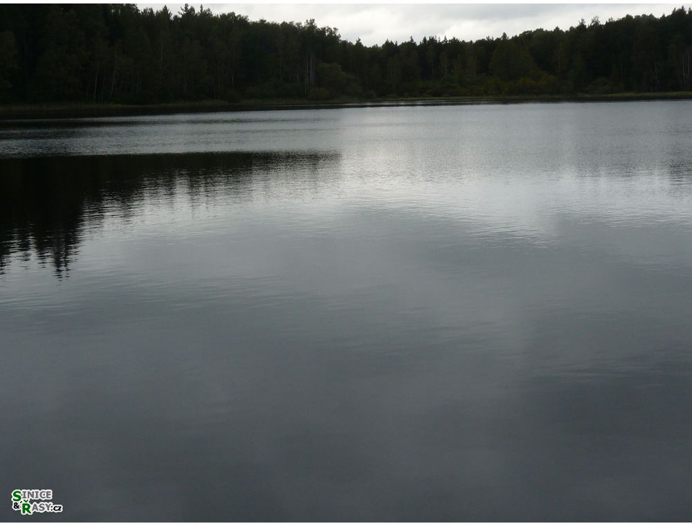 specka2013_044