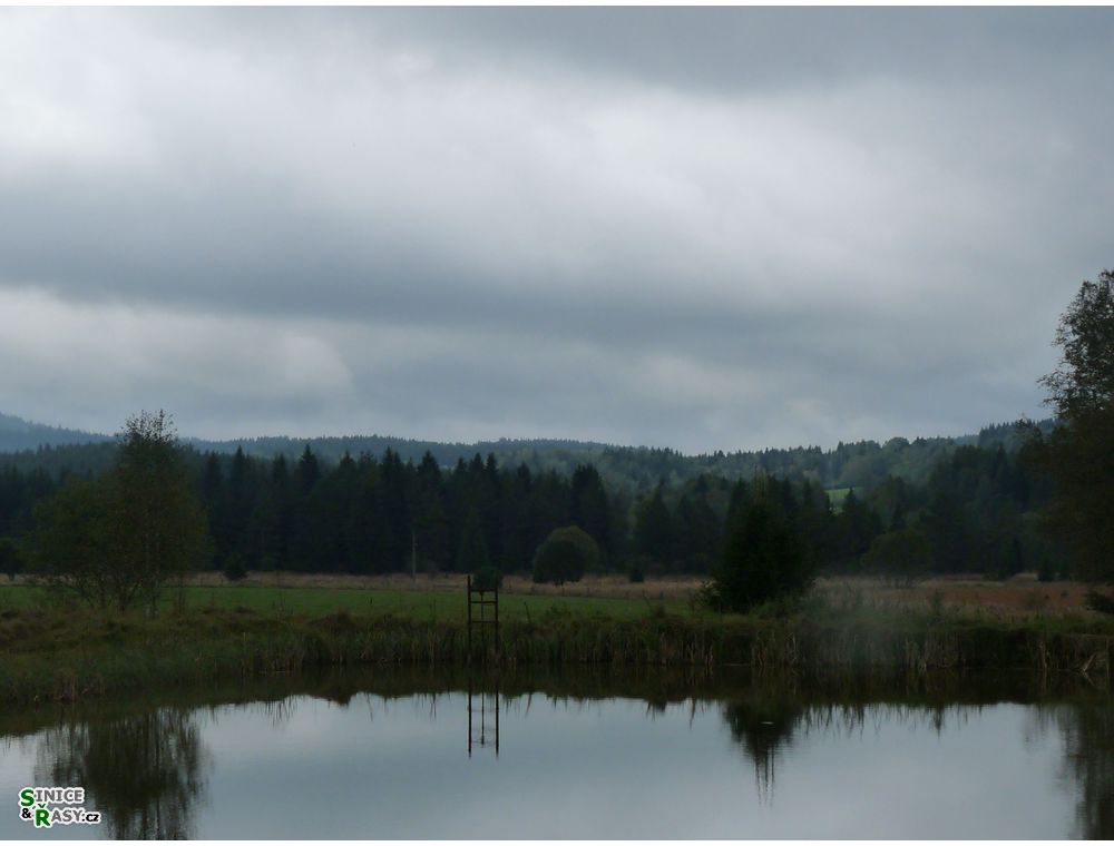 specka2013_049