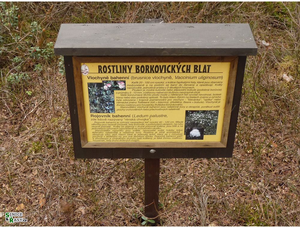 borkovice_009