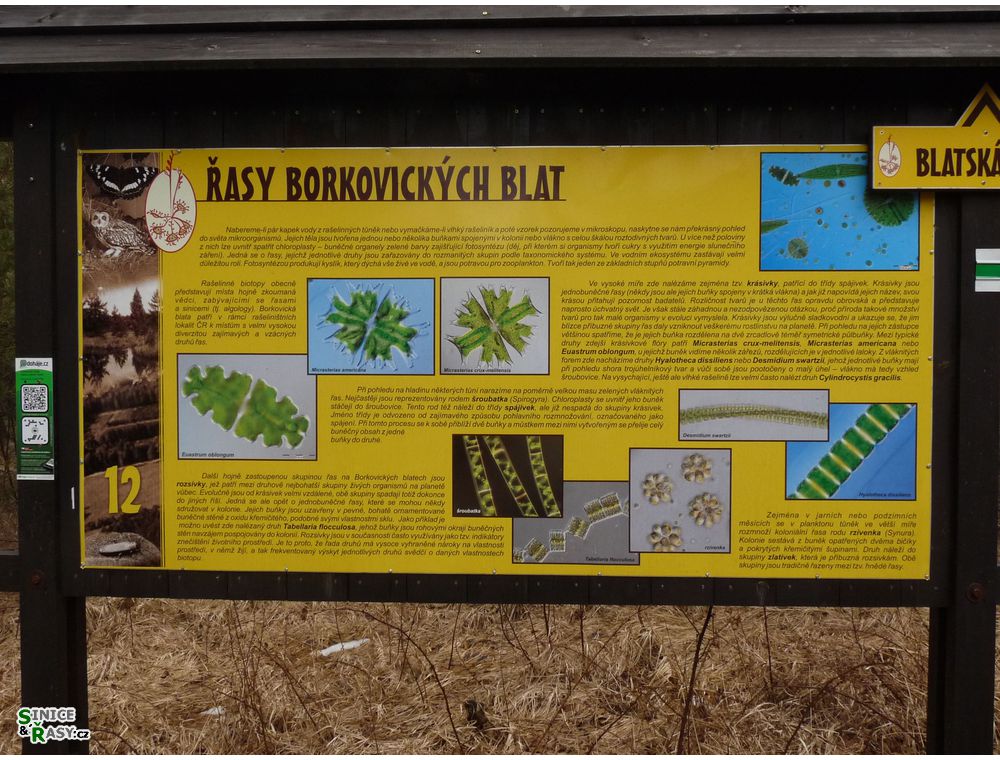 borkovice_027