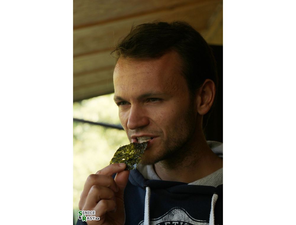 chantransia_2014_020