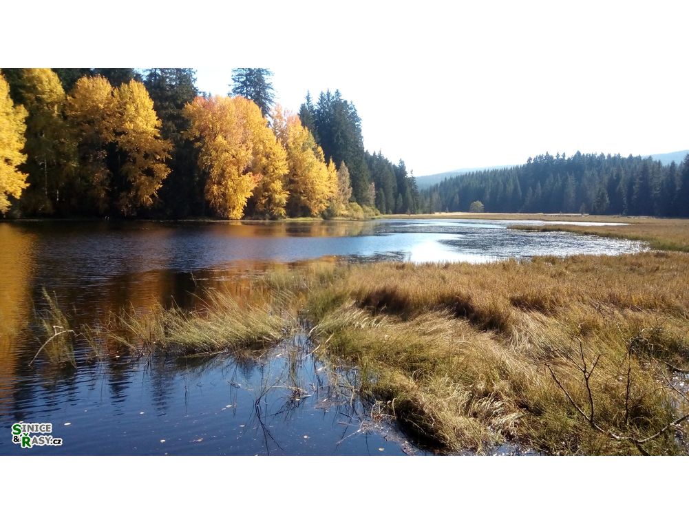 Novohradky 13