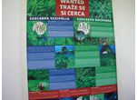Caulerpa