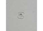 Cosmarium sphagnicola