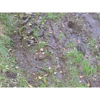 Chantransia 2005, Lomy u Jindřichova Hradce