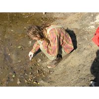 Chantransia 2005, Lomy u Jindřichova Hradce