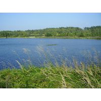 Chantransia 2005, Lomy u Jindřichova Hradce