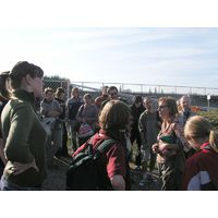 chantra2006-070d