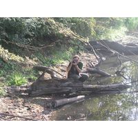 chantra2006-072a