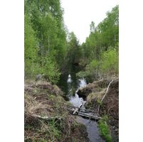 img-0663