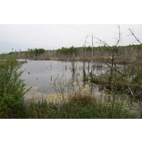 img-0670