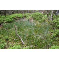 img-0686