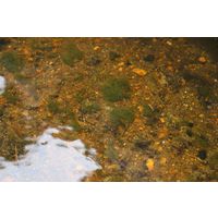 img-0725
