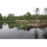 img-0739