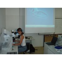 p7310590