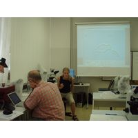 p7310593