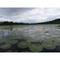 p6150067