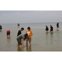 img-8734