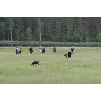 img-8776