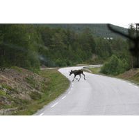 img-8827