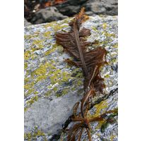 img-8946