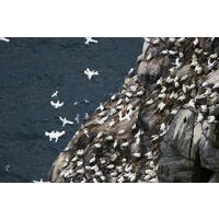 img-8971