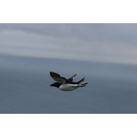 img-8999