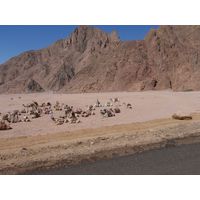 p7300018