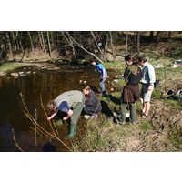 img-0224