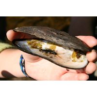 img-0232