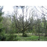 p1010960