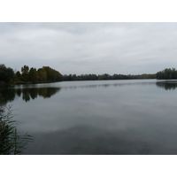 chantransia2011_013
