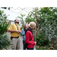 chantransia2011_015