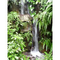 chantransia2011_021