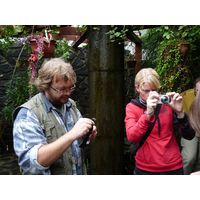 chantransia2011_028