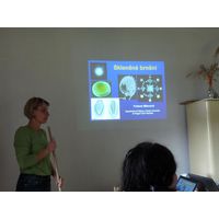 chantransia2011_044