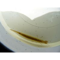 p1020522