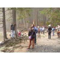 Chantransia 2012
