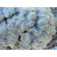 p5250257
