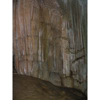 3-guajataca-state-forest-puerto-rico-2013-004